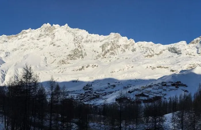 La Coquille De Neige