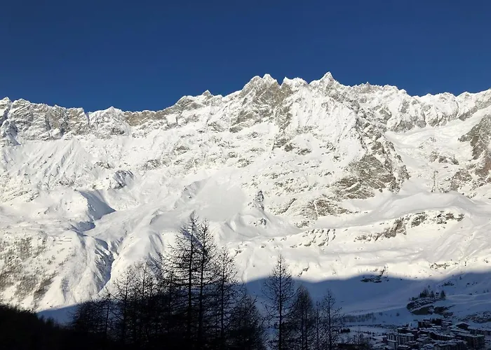 La Coquille De Neige